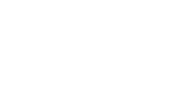 BEMA Logo
